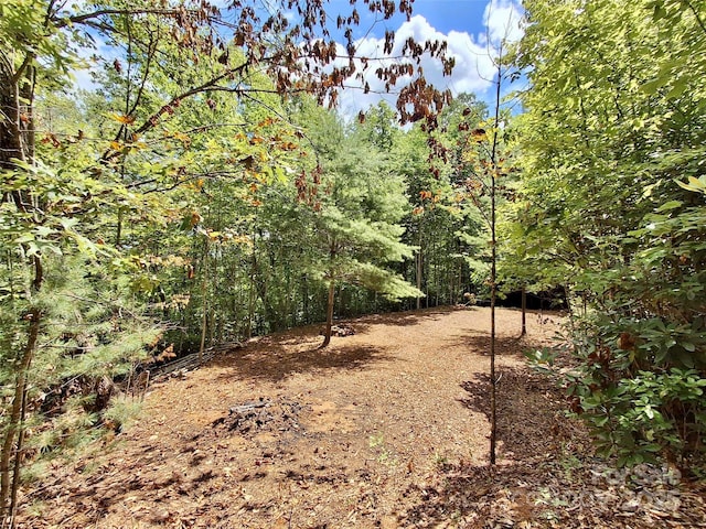 0 Sometimes Creek Rd, Sylva, NC 28779