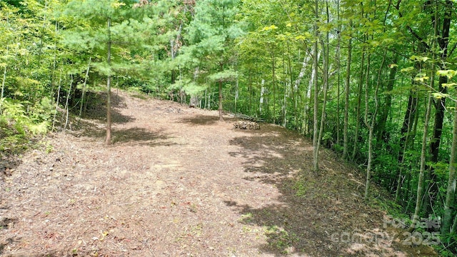 0 Sometimes Creek Rd, Sylva, NC 28779
