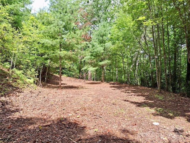 0 Sometimes Creek Rd, Sylva, NC 28779