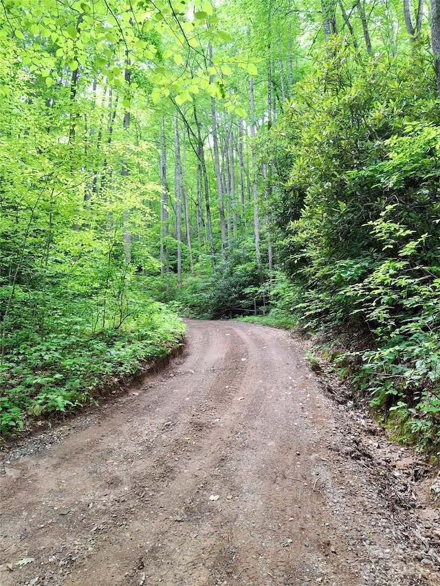 0 Sometimes Creek Rd, Sylva, NC 28779