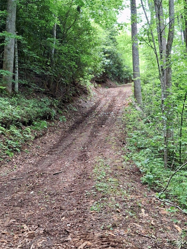 0 Sometimes Creek Rd, Sylva, NC 28779