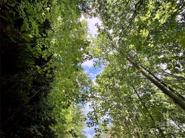0 Sometimes Creek Rd, Sylva, NC 28779