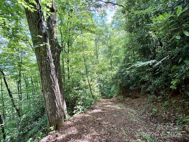 0 Sometimes Creek Rd, Sylva, NC 28779