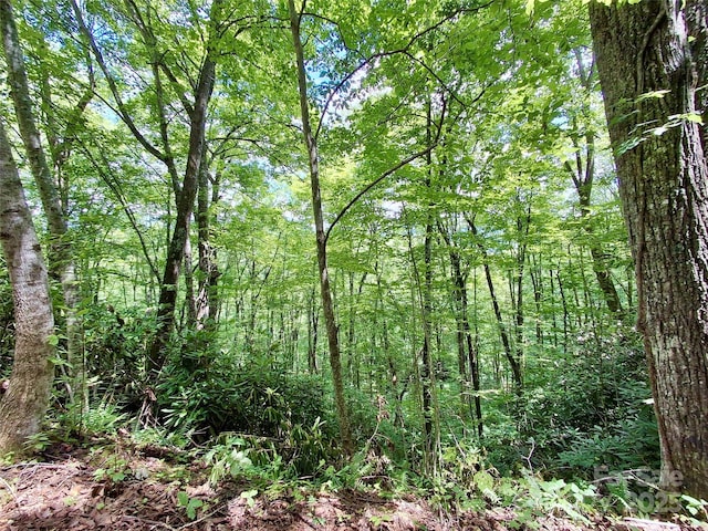 0 Sometimes Creek Rd, Sylva, NC 28779