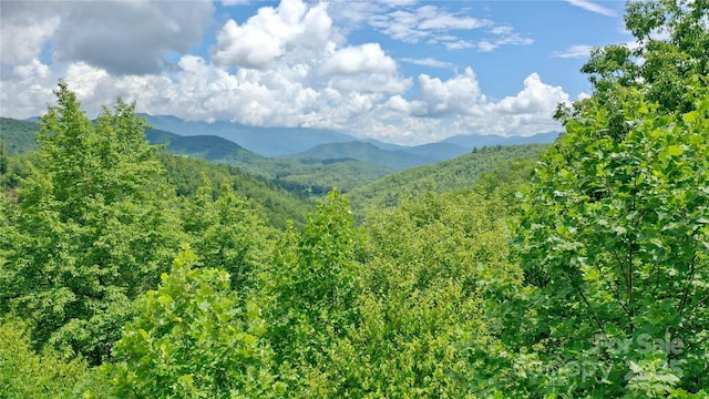 0 Sometimes Creek Rd, Sylva, NC 28779