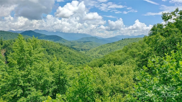 0 Sometimes Creek Rd, Sylva, NC 28779