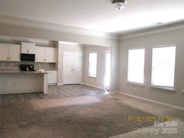 504 Stone River Pkwy, Mount Holly, NC 28120 - photo 10