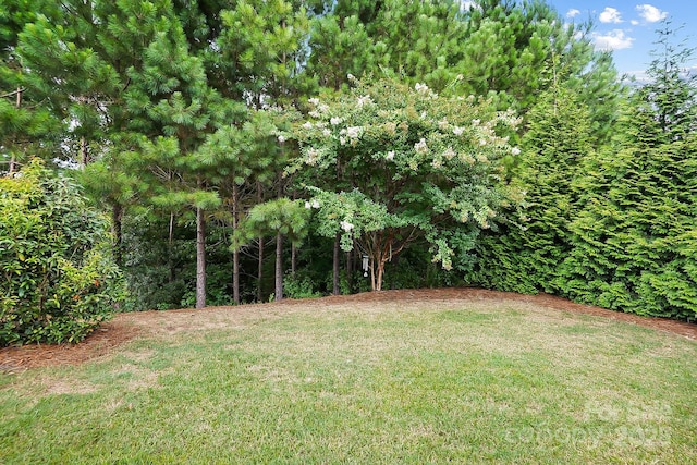 4106 Perth Rd, Fort Mill, SC 29707 - photo 43