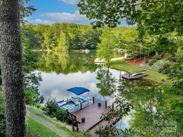 66 Ottaray Ct, Brevard, NC 28712 - photo 1