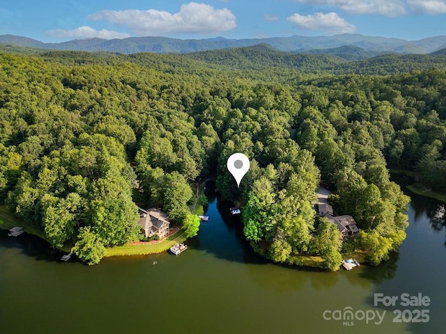66 Ottaray Ct, Brevard, NC 28712 - photo 2