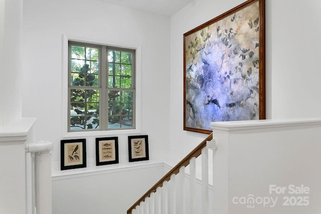 66 Ottaray Ct, Brevard, NC 28712 - photo 25
