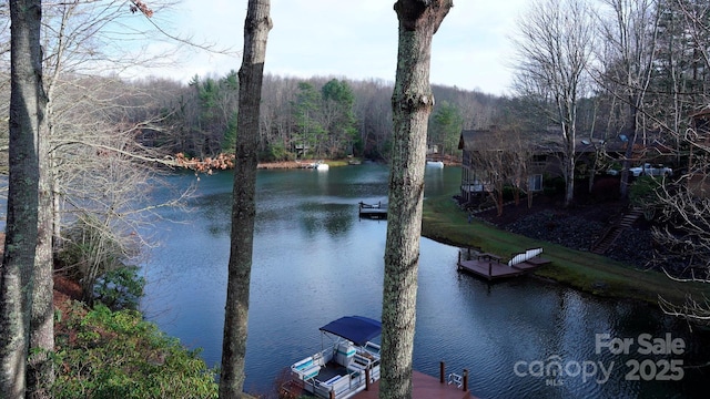 66 Ottaray Ct, Brevard, NC 28712 - photo 48