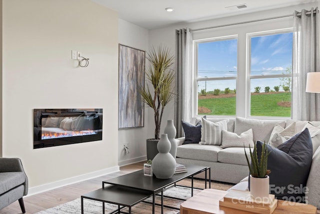 2589 Blue Sky Meadows Dr, Monroe, NC 28110 - living area featuring wood finished floors and a glass covered fireplace