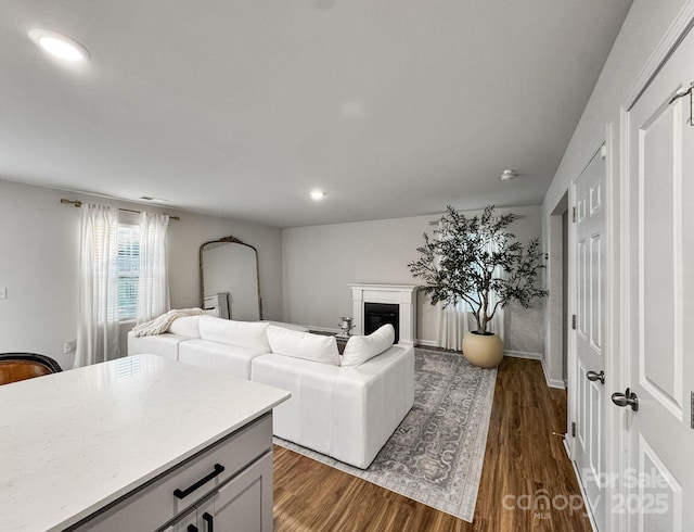 2807 Oldfield Dr, Monroe, NC 28110 - living room featuring dark wood-type flooring, a glass covered fireplace, and recessed lighting
