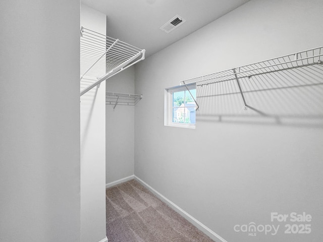 2807 Oldfield Dr, Monroe, NC 28110 - walk in closet with carpet floors