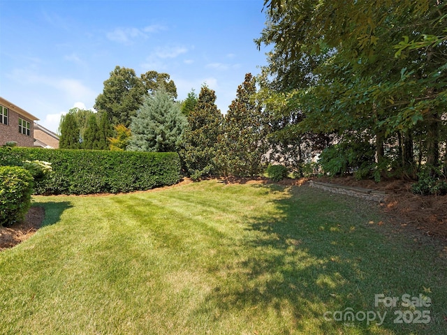 8062 Clems Branch Rd, Fort Mill, SC 29707 - photo 32