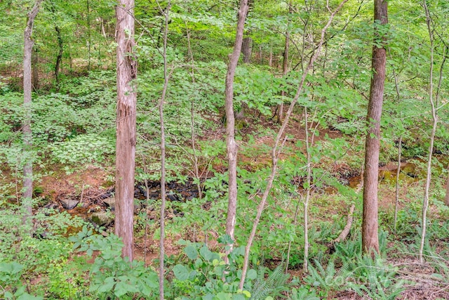 10351 Fink Rd, Mount Pleasant, NC 28124 - photo 30