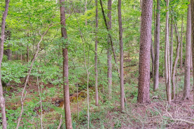 10351 Fink Rd, Mount Pleasant, NC 28124 - photo 31