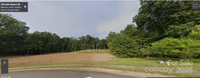 246 Quiet Waters Rd Unit 18, Belmont, NC 28012 - photo 5