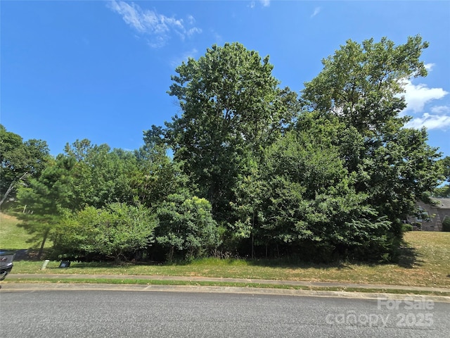 246 Quiet Waters Rd Unit 18, Belmont, NC 28012 - photo 4