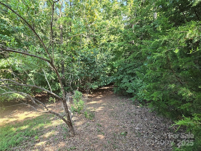 246 Quiet Waters Rd Unit 18, Belmont, NC 28012 - photo 7