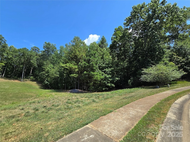 246 Quiet Waters Rd Unit 18, Belmont, NC 28012 - photo 10