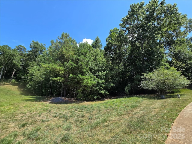 246 Quiet Waters Rd Unit 18, Belmont, NC 28012 - photo 11