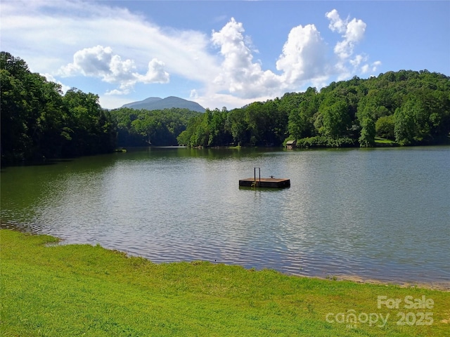 637 Raven Blvd, Lake Lure, NC 28746 - photo 39