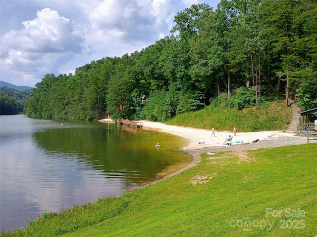 637 Raven Blvd, Lake Lure, NC 28746 - photo 41