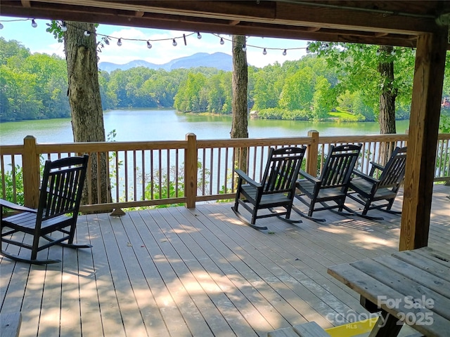 637 Raven Blvd, Lake Lure, NC 28746 - photo 38