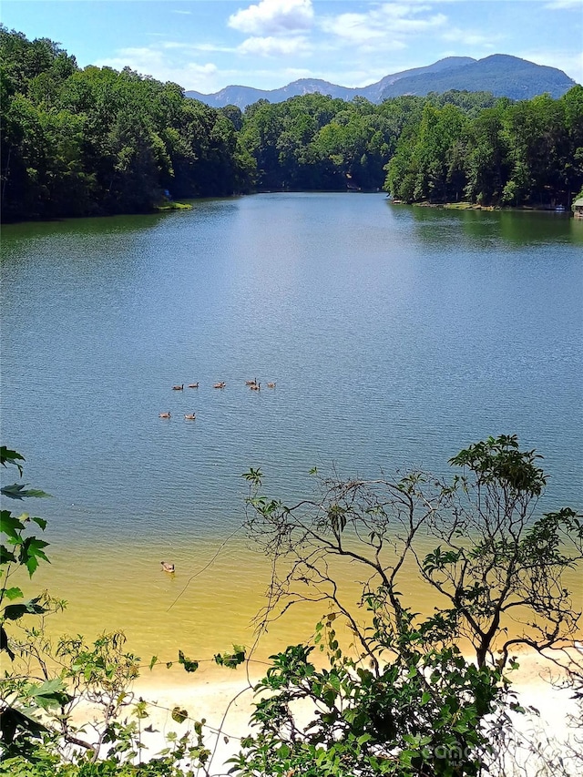 637 Raven Blvd, Lake Lure, NC 28746 - photo 40