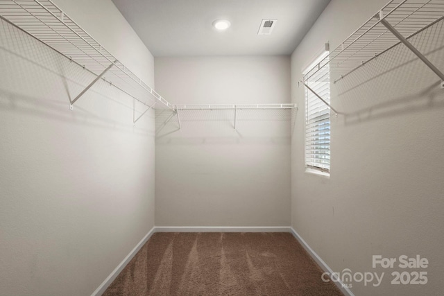233 Belcaro Dr, Kings Mountain, NC 28086 - photo 39