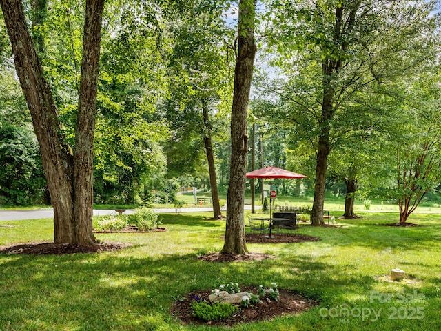 1411 Kensington Rd Unit C-1, Hendersonville, NC 28791 - view of green lawn