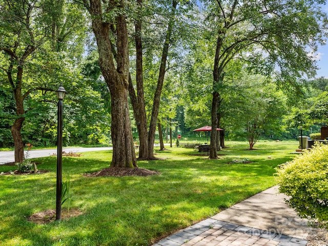 1411 Kensington Rd Unit C-1, Hendersonville, NC 28791 - view of green lawn