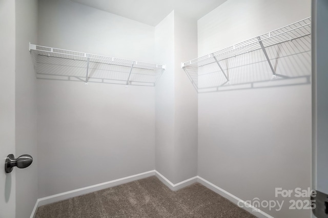 1700 Honey Trl, Monroe, NC 28112 - walk in closet with carpet