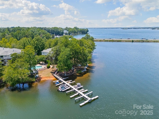 706 NE Dr, Davidson, NC 28036 - photo 34