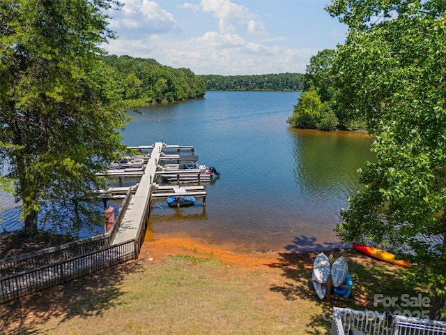 706 NE Dr, Davidson, NC 28036 - photo 37