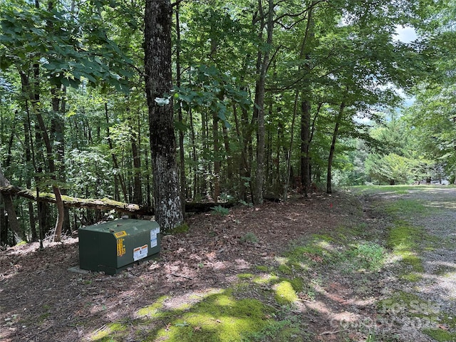 TBD Pine Burr Dr Unit 139, Purlear, NC 28665