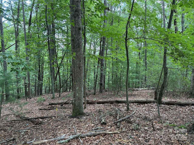 TBD Pine Burr Dr Unit 139, Purlear, NC 28665