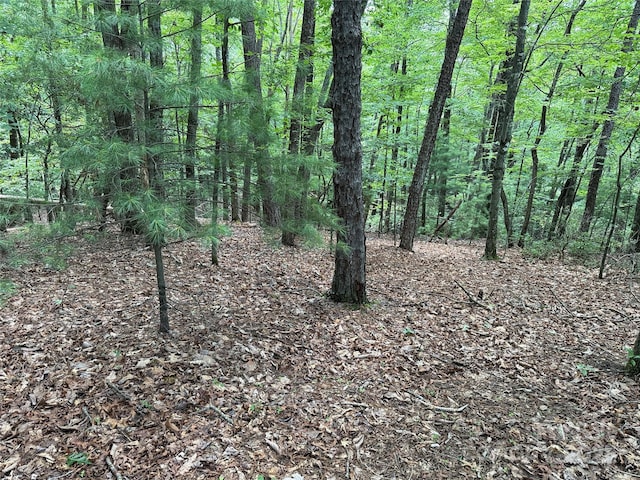 TBD Pine Burr Dr Unit 139, Purlear, NC 28665