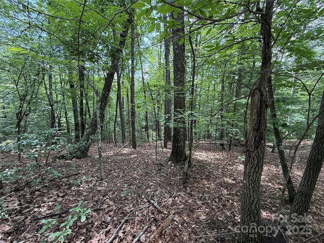 TBD Pine Burr Dr Unit 139, Purlear, NC 28665