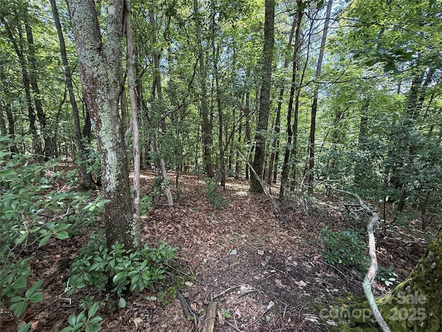 TBD Pine Burr Dr Unit 139, Purlear, NC 28665