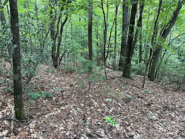 TBD Pine Burr Dr Unit 139, Purlear, NC 28665