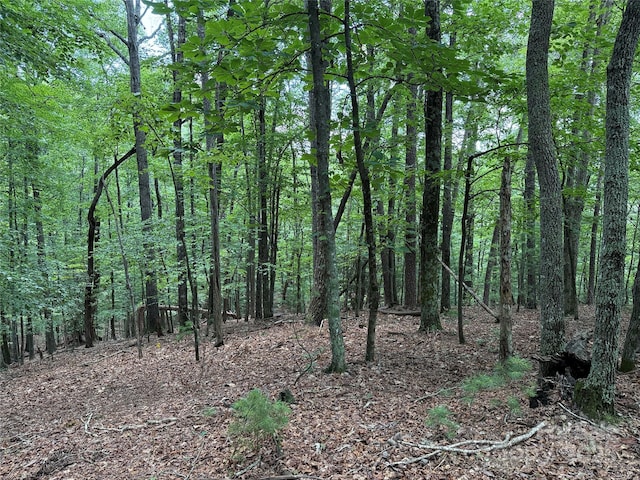 TBD Pine Burr Dr Unit 139, Purlear, NC 28665