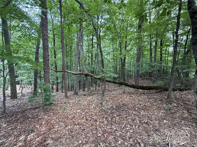 TBD Pine Burr Dr Unit 139, Purlear, NC 28665