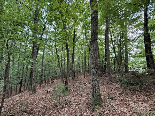 TBD Pine Burr Dr Unit 139, Purlear, NC 28665