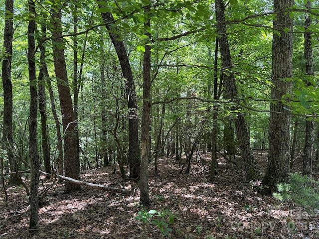TBD Pine Burr Dr Unit 139, Purlear, NC 28665