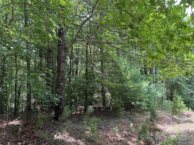 TBD Pine Burr Dr Unit 139, Purlear, NC 28665