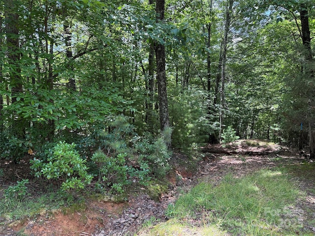 TBD Pine Burr Dr Unit 139, Purlear, NC 28665