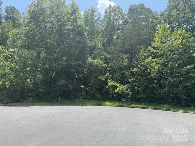 1047 Williamsburg Dr, Lenoir, NC 28645 - photo 2